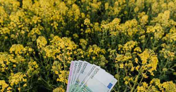 外国语单招大数据的行业文章