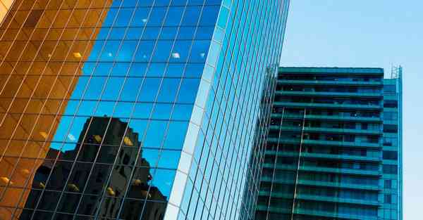 AI绘画二次元猫咪（如何用AI画一只立体的猫）