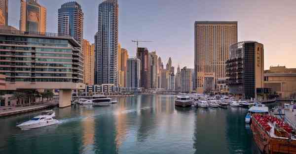 外国语单招大数据的行业文章