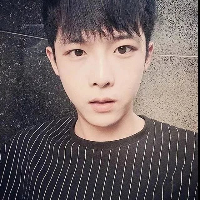 仲孙树锦荔