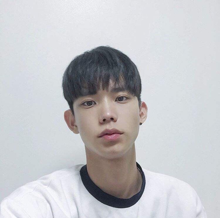 怀珍辰丹