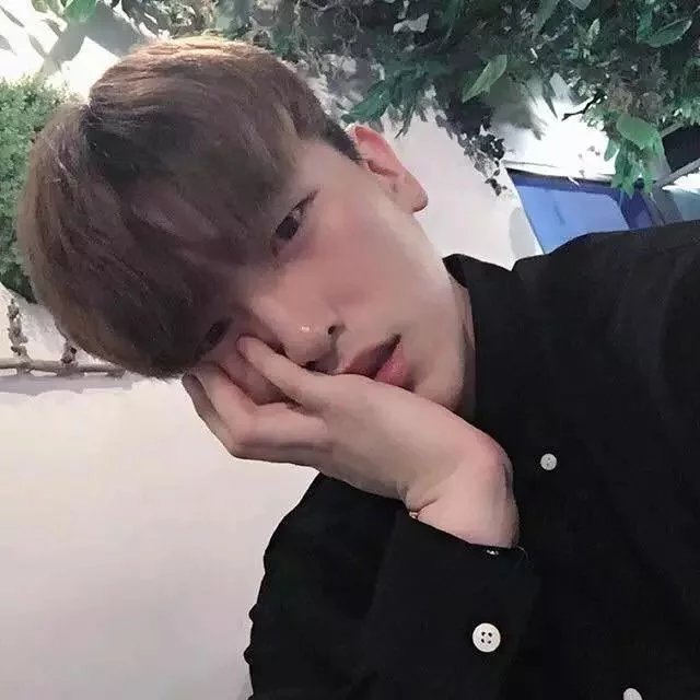广志韵桦