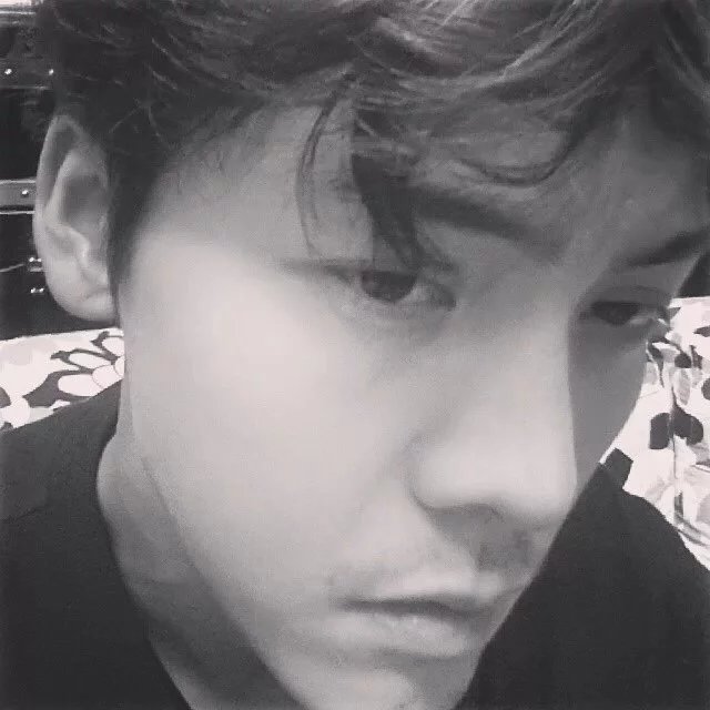仲珍胜紫
