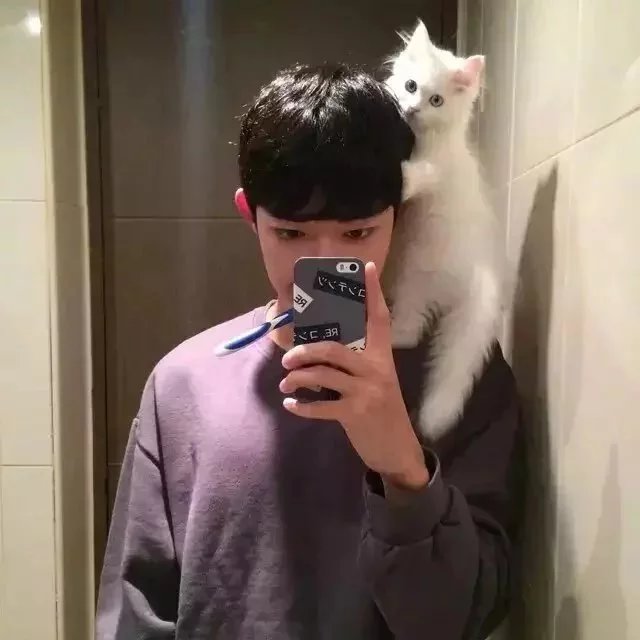 韩烟新翔