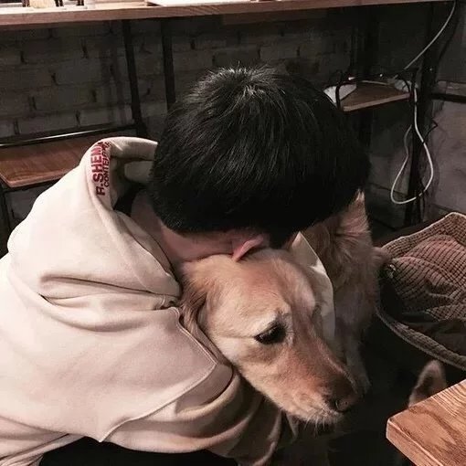 邓翔程晓