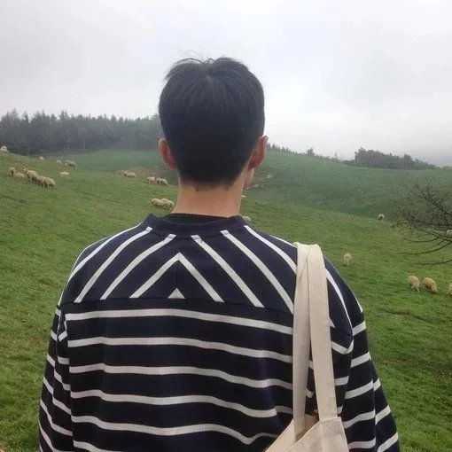 汪玲林友