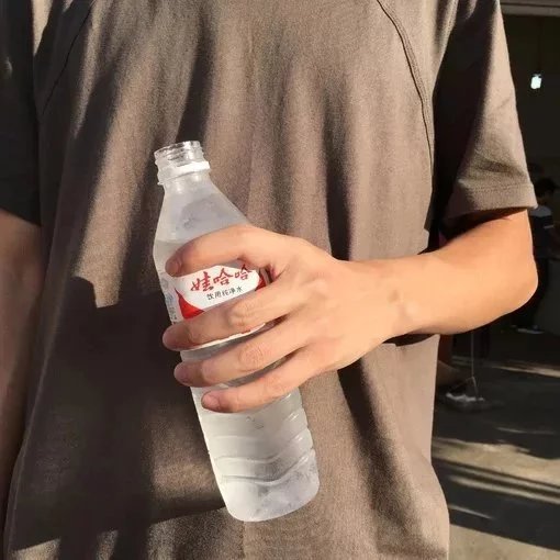 伏蝶贵丹