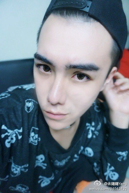 习鹏贞真